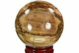 Colorful Petrified Wood Sphere - Madagascar #106985-1